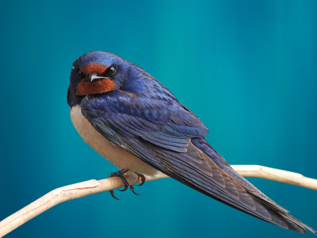 1_80